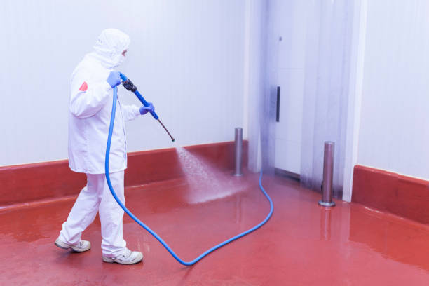 Best Building Exterior Washing  in Moroni, UT