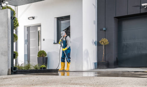 Best Graffiti Removal  in Moroni, UT